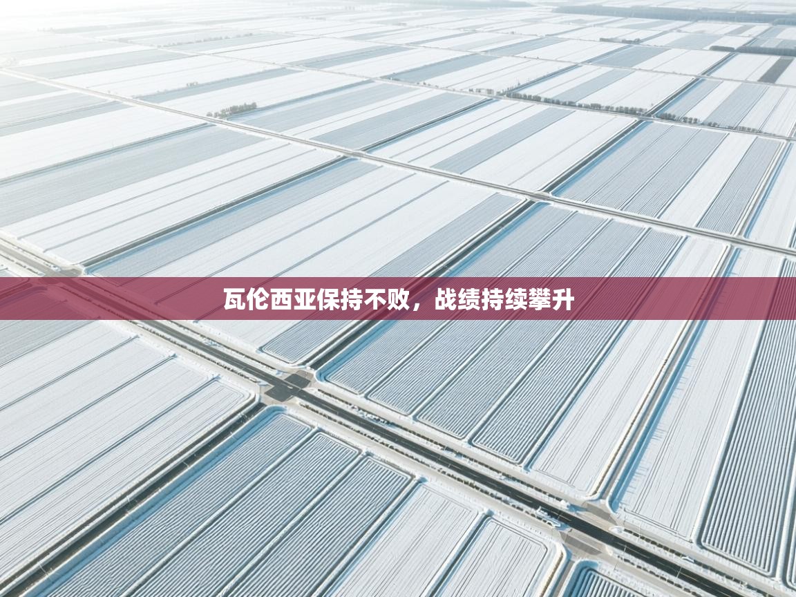 瓦伦西亚保持不败,战绩持续攀升 第2张