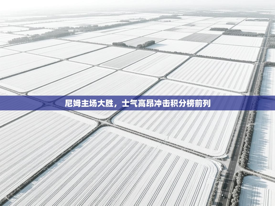 尼姆主场大胜，士气高昂冲击积分榜前列  第2张