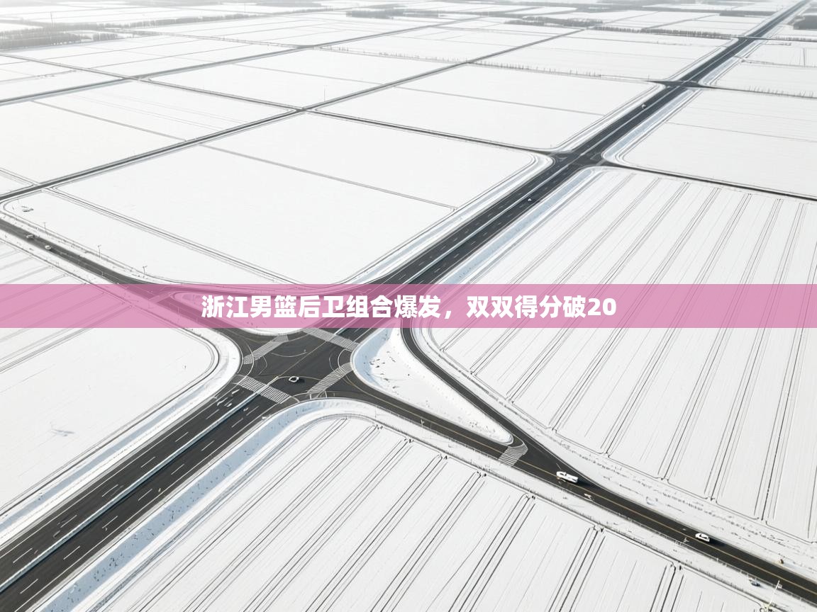 浙江男篮后卫组合爆发,双双得分破20