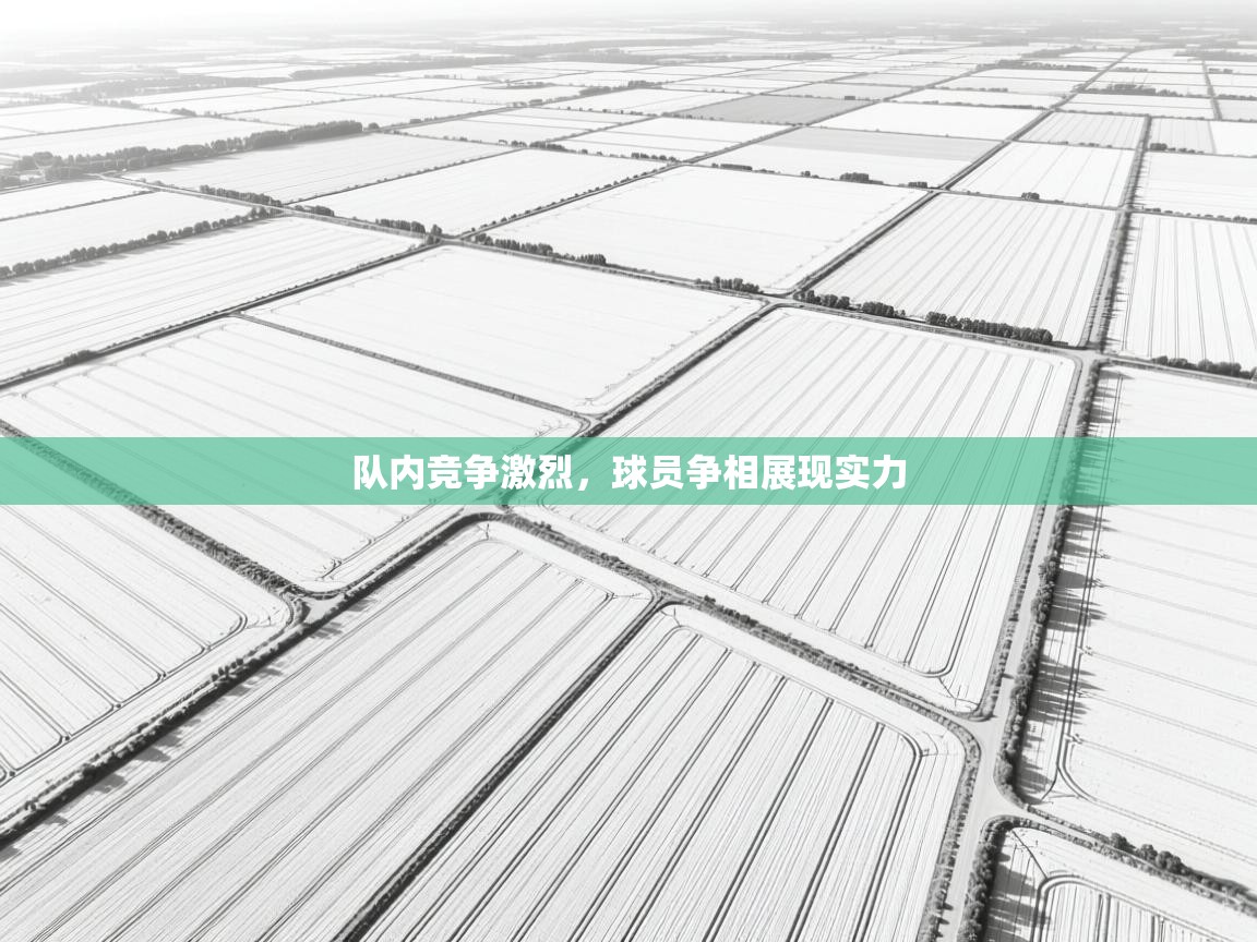 队内竞争激烈,球员争相展现实力