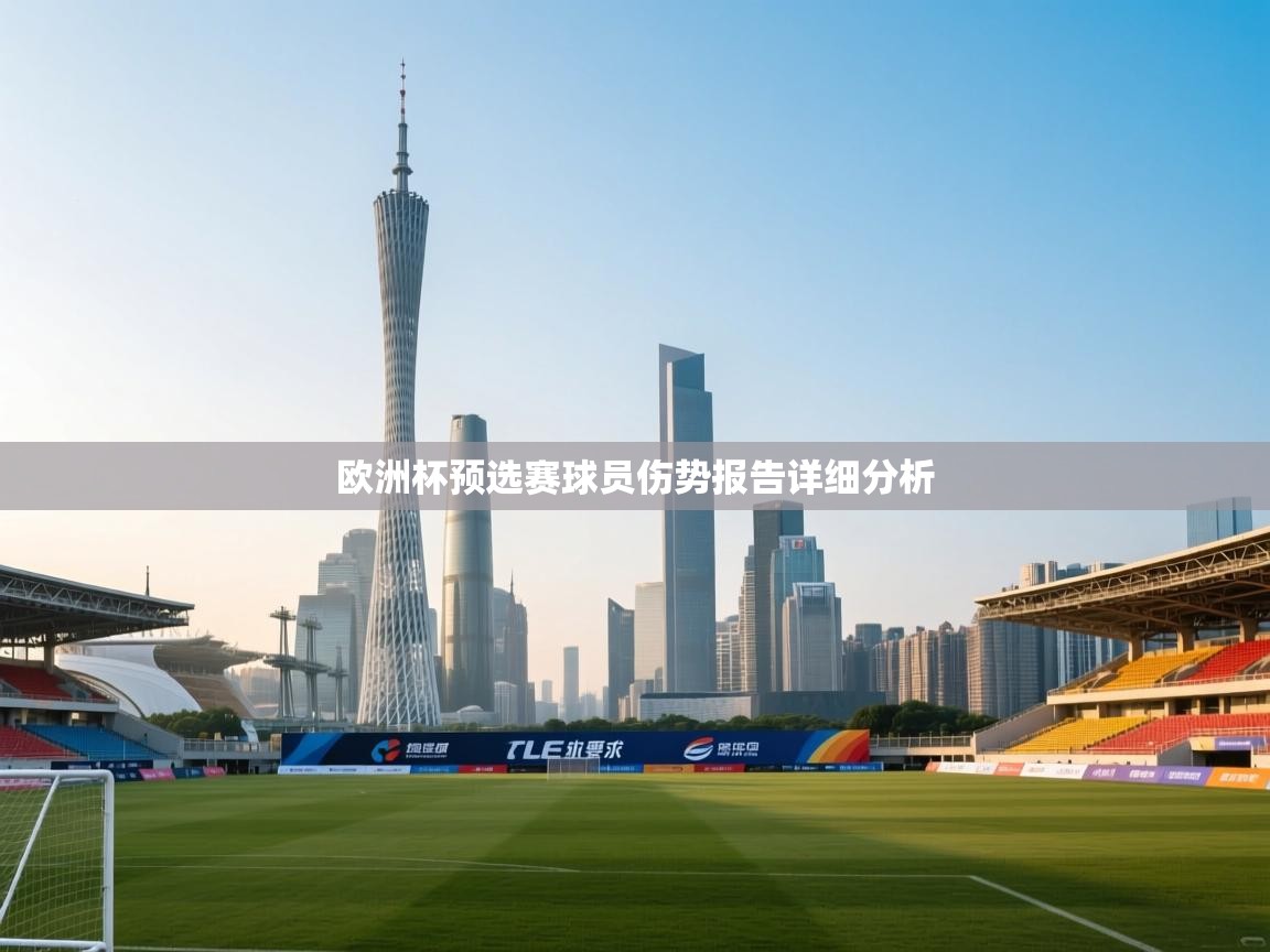 欧洲杯预选赛球员伤势报告详细分析  第1张