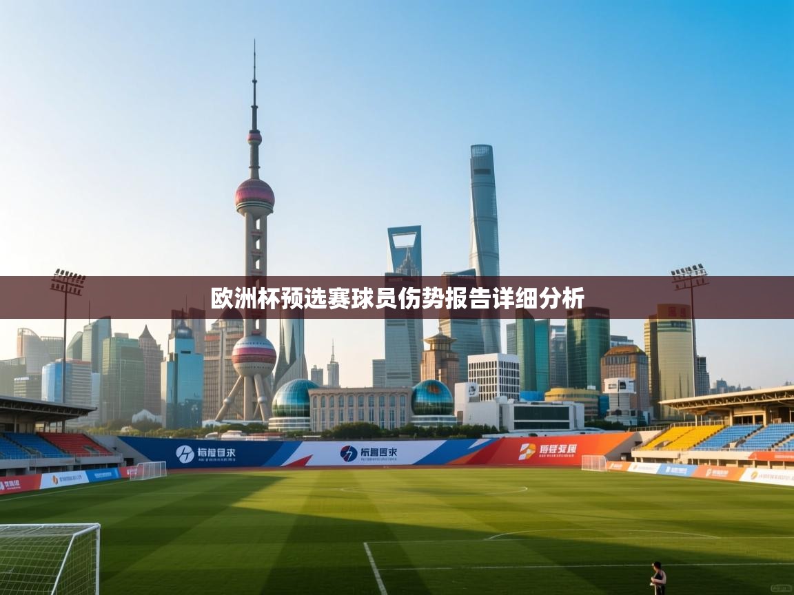 欧洲杯预选赛球员伤势报告详细分析  第2张
