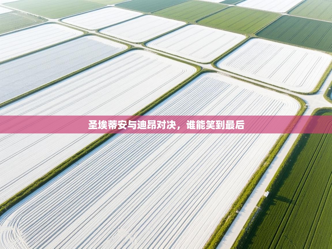 圣埃蒂安与迪昂对决,谁能笑到最后