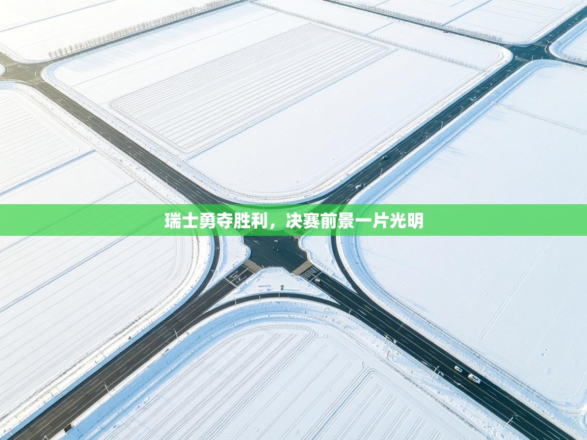 瑞士勇夺胜利，决赛前景一片光明  第1张