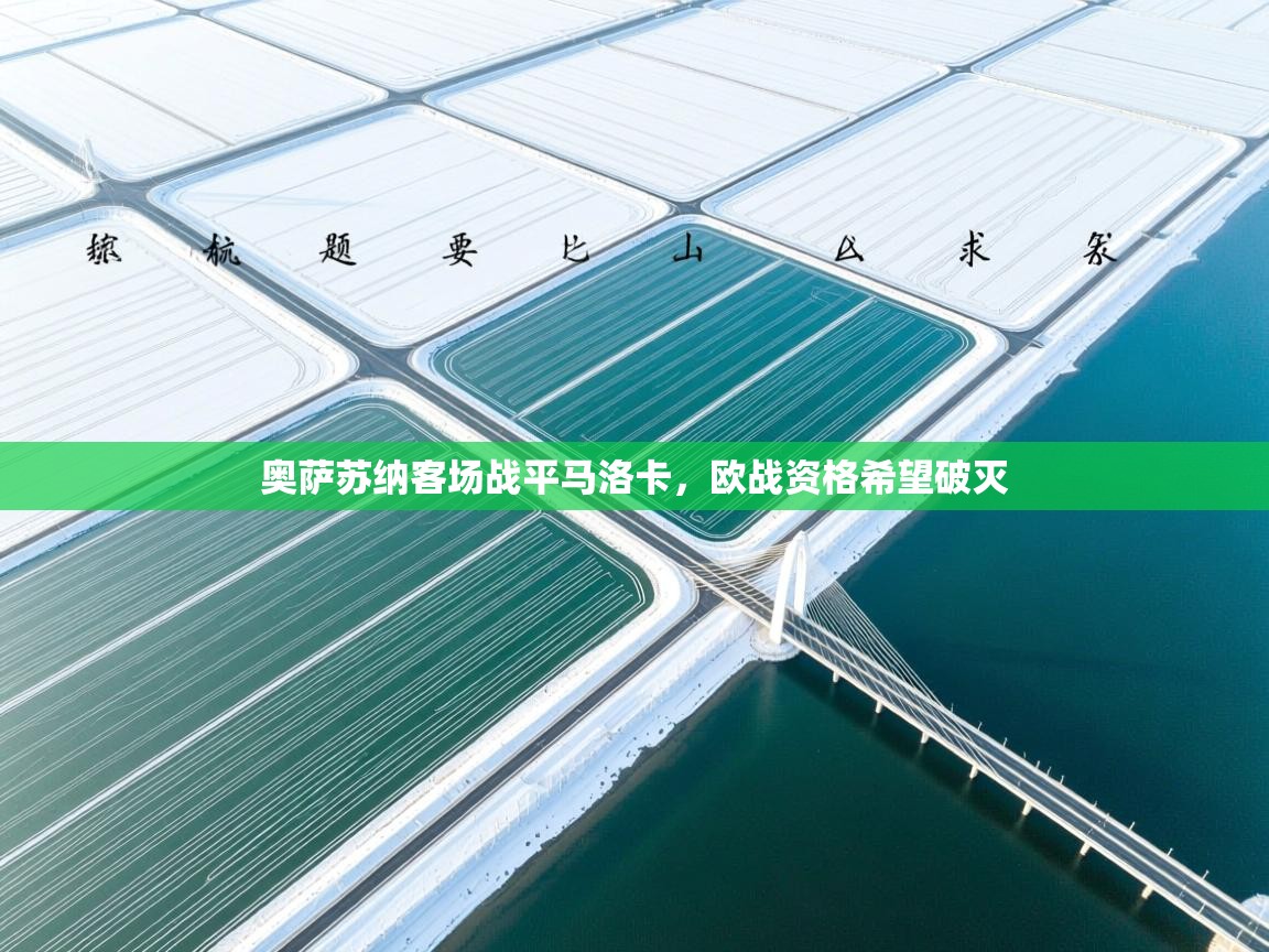 奥萨苏纳客场战平马洛卡,欧战资格希望破灭 第2张